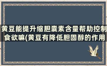 黄豆能提升缩胆囊素含量帮助控制食欲嘛(黄豆有降低胆固醇的作用吗)