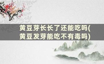 黄豆芽长长了还能吃吗(黄豆发芽能吃不有毒吗)