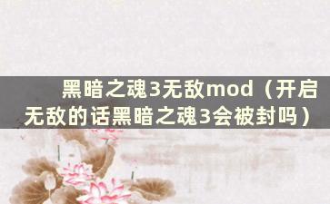 黑暗之魂3无敌mod（开启无敌的话黑暗之魂3会被封吗）