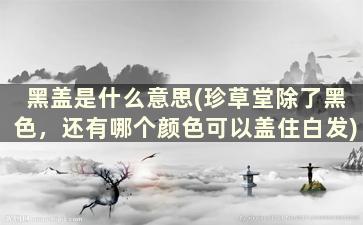 黑盖是什么意思(珍草堂除了黑色，还有哪个颜色可以盖住白发)