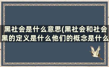 黑社会是什么意思(黑社会和社会黑的定义是什么他们的概念是什么)