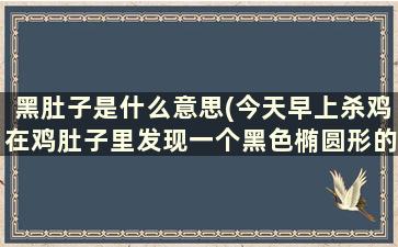 黑肚子是什么意思(今天早上杀鸡在鸡肚子里发现一个黑色椭圆形的东西，想请问各位这是什么，谢谢)