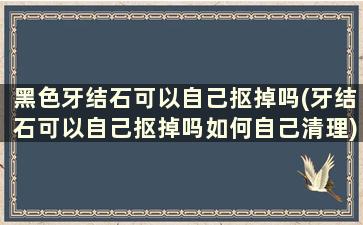 黑色牙结石可以自己抠掉吗(牙结石可以自己抠掉吗如何自己清理)