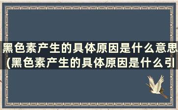 黑色素产生的具体原因是什么意思(黑色素产生的具体原因是什么引起的)