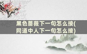 黑色蔷薇下一句怎么接(同道中人下一句怎么接)