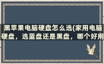 黑苹果电脑硬盘怎么选(家用电脑硬盘，选蓝盘还是黑盘，哪个好用稳定)