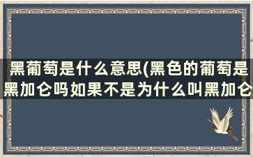 黑葡萄是什么意思(黑色的葡萄是黑加仑吗如果不是为什么叫黑加仑葡萄干，谁能解释)