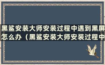 黑鲨安装大师安装过程中遇到黑屏怎么办（黑鲨安装大师安装过程中遇到错误怎么办）