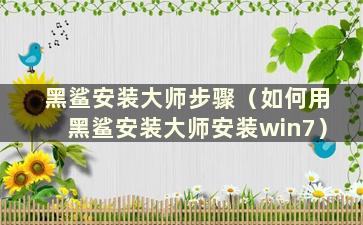 黑鲨安装大师步骤（如何用黑鲨安装大师安装win7）