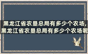 黑龙江省农垦总局有多少个农场,黑龙江省农垦总局有多少个农场呢