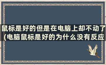 鼠标是好的但是在电脑上却不动了(电脑鼠标是好的为什么没有反应)