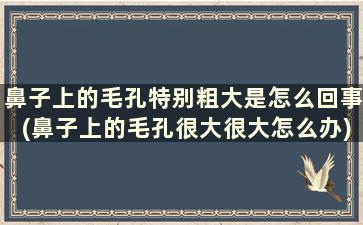 鼻子上的毛孔特别粗大是怎么回事(鼻子上的毛孔很大很大怎么办)