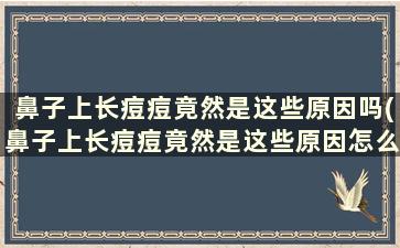 鼻子上长痘痘竟然是这些原因吗(鼻子上长痘痘竟然是这些原因怎么办)