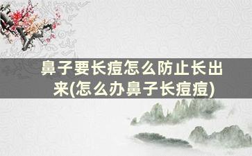 鼻子要长痘怎么防止长出来(怎么办鼻子长痘痘)