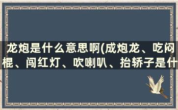 龙炮是什么意思啊(成炮龙、吃闷棍、闯红灯、吹喇叭、抬轿子是什么意思)